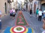 infiorata (84)